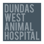 Dundas West Animal Hospital